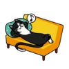 fun cat 20