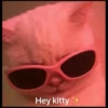 Cat’ cats 20