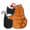 fun cat 21