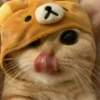 ♡Cats Cute♡ 18