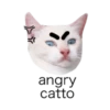 MEOW ‧₊˚ 9