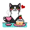 fun cat 23