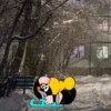Cartoons in Real Life 18