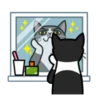 fun cat 24