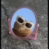 Cats 19