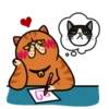 fun cat 25