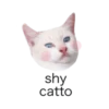 MEOW ‧₊˚ 10