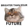 MEOW ‧₊˚ 11