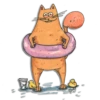 CoffeeCat 24