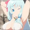 meow 24