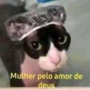 cats 23