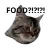 MEOW ‧₊˚ 12
