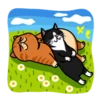 fun cat 26