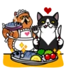 fun cat 27