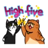 fun cat 28