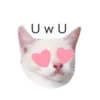 MEOW ‧₊˚ 16