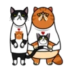 fun cat 29