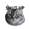 MEOW ‧₊˚ 18