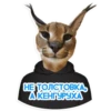 catspb 20