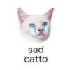 MEOW ‧₊˚ 19