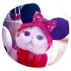 catsindress 6