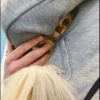 Cutie - cats 8