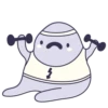 chatikraznocvetnostey 6