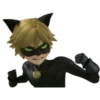 Cat Noir - Miraculous 6