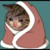 rjeamin as a cat expression. 9
