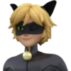 Cat Noir - Miraculous 7