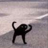 rjeamin as a cat expression. 10