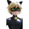Cat Noir - Miraculous 10