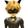 Cat Noir - Miraculous 11