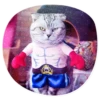 catsindress 11