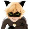 Cat Noir - Miraculous 12