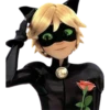 Cat Noir - Miraculous 14