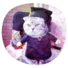 catsindress 12