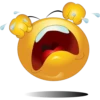 Emoji's 13