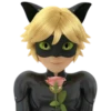 Cat Noir - Miraculous 15