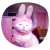 catsindress 15