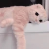 Gato macio 12
