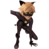 Cat Noir - Miraculous 16