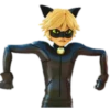 Cat Noir - Miraculous 17