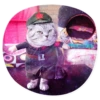 catsindress 17