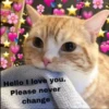 rjeamin as a cat expression. 22