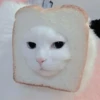 Gato macio 18