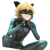 Cat Noir - Miraculous 19