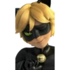 Cat Noir - Miraculous 20