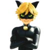 Cat Noir - Miraculous 21