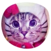 catsindress 20